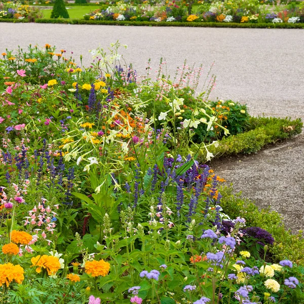 Bright Flowerbed Walking Path City Garden — Stock Photo, Image
