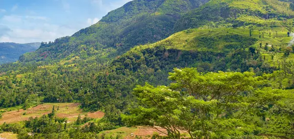 Resimli dağların yamaçlarındaki tropikal orman ve kırsal alan. Sri Lanka. Geniş resim.