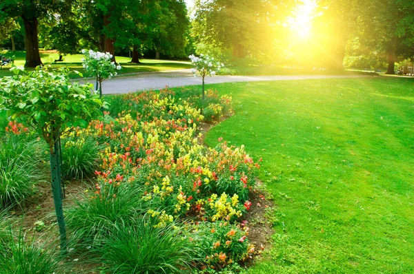 Jardin Été Avec Parterres Pelouses Soirée Coucher Soleil Image En Vente