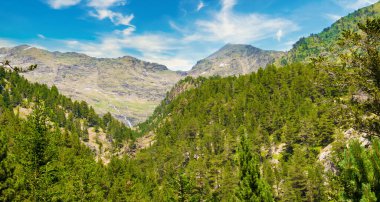 Ormanları ve çayırları olan görkemli dağ yamaçları. Andorra, yaz..