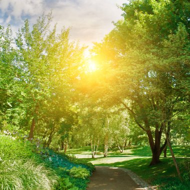 Yürüyüşler için yürüyüş yolları ve çimenlikleri olan güzel bir bahçe..