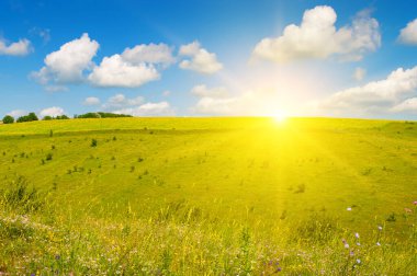 Green meadow (grassland) on a hilly landscape and Sky with bright sunise. clipart