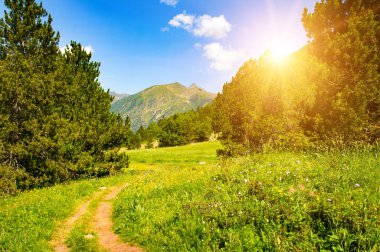 Andorra 'daki Pirene Dağları, Orman, çayır ve parlak gündoğumu.