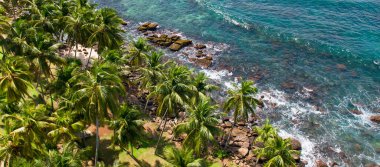 Sahilde palmiye ağaçları olan tropik bir sahil. Geniş resim. Yukarıdan görüntüle.