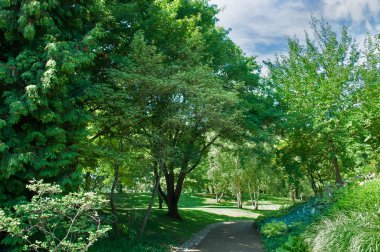 Sıcak sokakları olan gölgeli bir yaz bahçesi.