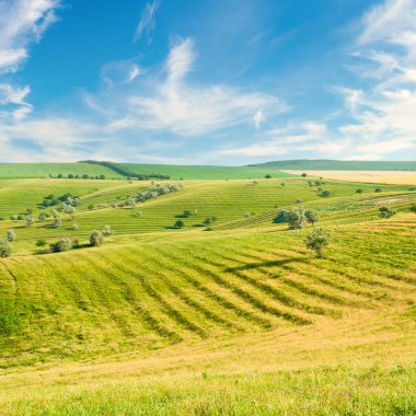 Tepe kenarlarındaki tarlalar, çayırlar ve otlaklar.. 