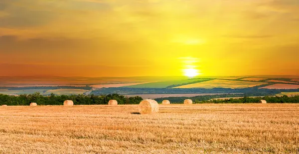 Field Haystacks Autumn Evening Cloudy Sky Background Sunset Sunrise Wide Royalty Free Stock Photos