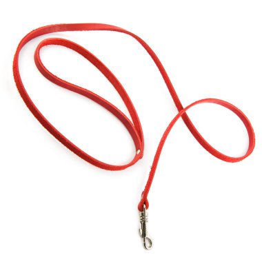 Beyaz arka planda izole edilmiş bir köpek için deri tasma..