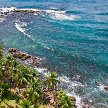 Sahilde palmiye ağaçları olan tropik bir sahil. Yukarıdan görüntüle.