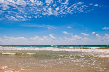 Deniz tropik plajı ve mavi gökyüzü. Konsept - tatil ve seyahat. Sri Lanka.