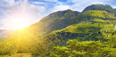 Dağlar, tropikal bitki örtüsü ve parlak gün doğumu. Sri Lanka. Geniş resim.