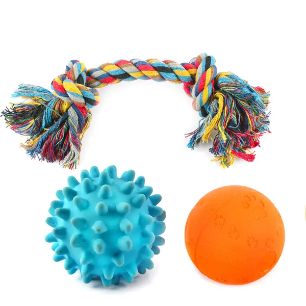 在白色背景上隔离的球和绳子 狗玩具 大学生活 图库照片