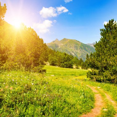 Resimli dağlar, çayırlar ve yürüyüş yolları. Yaz Andorra.