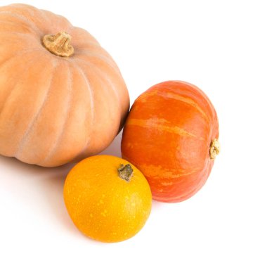 Kabaklar beyaz bir arkaplanda izole edilmiş. Metin için boş alan var.