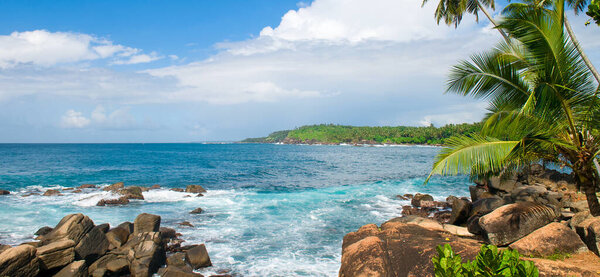 Picturesque tropical beach with palm trees on the shore. Wide photo.