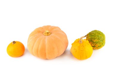 Beyaz bir arkaplanda izole edilmiş bir grup Kabak.