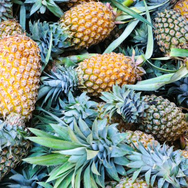 Olgun ananas meyveleri. Parlak tropikal arkaplan.