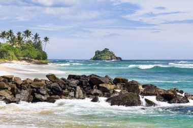 Kıyısında hindistan cevizi palmiyeleri olan tropik bir sahil..