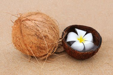 Yaz tatili konsepti - Kumsal ve Hindistan cevizi