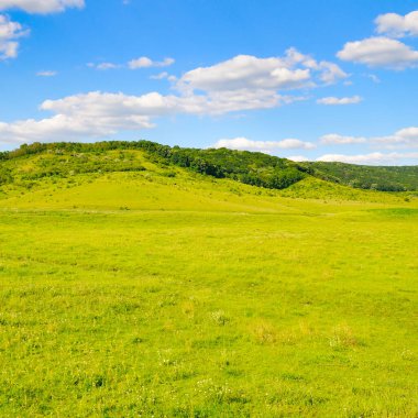 Yeşil çayır, ağaçlar ve tepeler. Güzel yaz manzarası, Moldova.