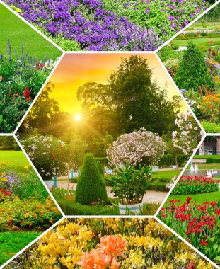 Bahçelerdeki ve parklardaki çiçek tarhları. Kolaj. Dikey fotoğraf.