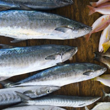 Sri Lanka kıyısındaki balıkçılar. Sokak pazarında balık satmak..