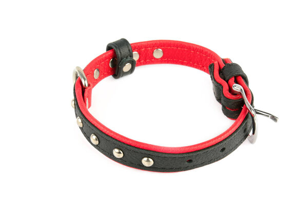 Black leather dog collar Isolated on a white background.