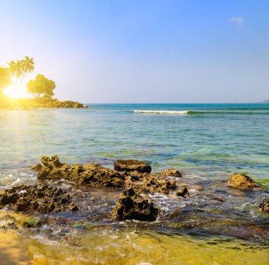 Güzel dalgalı deniz manzarası, kayalık kıyılar, tropikal palmiyeler ve parlak gündoğumu .