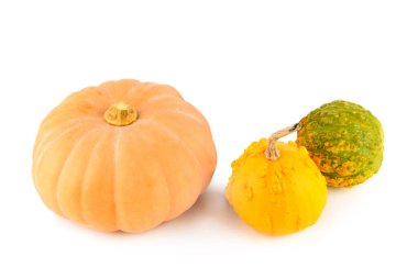 Beyaz arka planda izole edilmiş balkabakları, olgun taze sebzelerin yan görünüşü. Portakallı balkabağı seti, Cadılar Bayramı 'nda küçük kabaklar. Metin için boş alan.