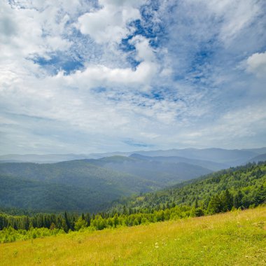 Yağmurdan sonra Karpatlar 'ın puslu dağ vadisi.
