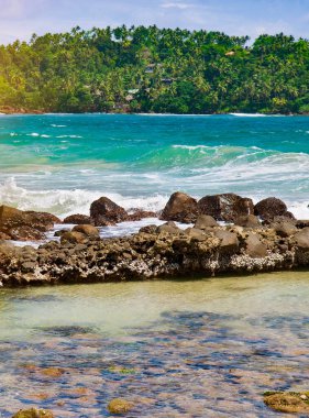 Tropik okyanus gölü, mercan resifi ve mavi gökyüzü. Dikey fotoğraf.