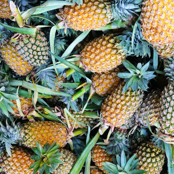 Olgun ananas meyveleri. Parlak tropikal arkaplan.