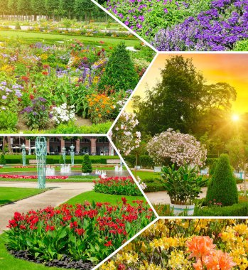 Bahçelerdeki ve parklardaki çiçek tarhları. Kolaj.