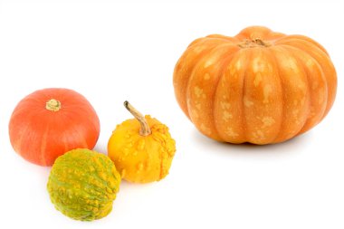 Beyaz arka planda izole edilmiş balkabakları, olgun taze sebzelerin yan görünüşü. Portakallı balkabağı seti, Cadılar Bayramı 'nda küçük kabaklar. Metin için boş alan. Kolaj.