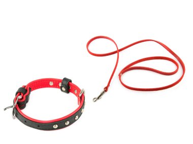 Siyah deri köpek tasması ve beyaz arka planda izole edilmiş köpek tasması. Kolaj. Metin için boş alan.