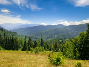 Dağ sıraları, kozalaklı ormanlar ve mavi gökyüzü ile resmedilmiş dağ manzarası. Karpat Dağları, Ukrayna.