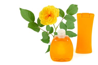 Şampuan ve duş jeli. Beyaz arka planda gül çiçeği özü var. Kolaj. Metin için boş alan var.