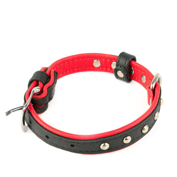 red and black collar solated on white background