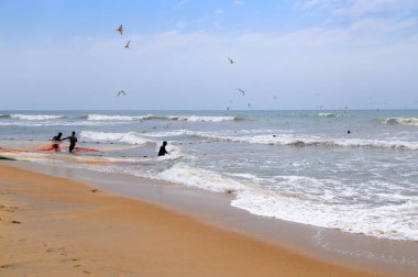 Güney Sri Lanka sahillerindeki büyük balıkçıların okyanustan balık ağını çekmelerine yardım eden bir grup adam. Sıkı takım çalışması..