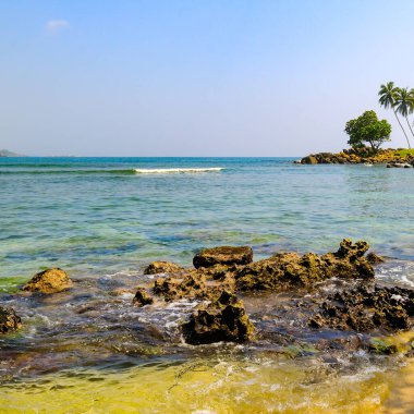 Sahilde tropikal bitki örtüsü, kumlu bir sahil ve mercan resifi olan Hint Okyanusu 'nun manzarası. Sri Lanka.