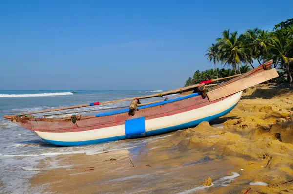 Sri Lanka 'nın okyanus kıyısındaki kumlu uzun bir sahilde renkli balıkçı tekneleri..