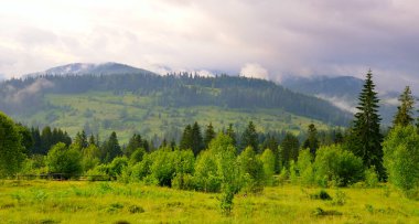 Yağmurdan sonra Misty Carpathian dağ vadisi. Geniş resim.