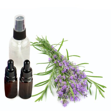 Şişelerdeki lavanta yağı ve beyaz arka planda izole edilmiş lavanta çiçekleri. Metin için boş alan. Kolaj.