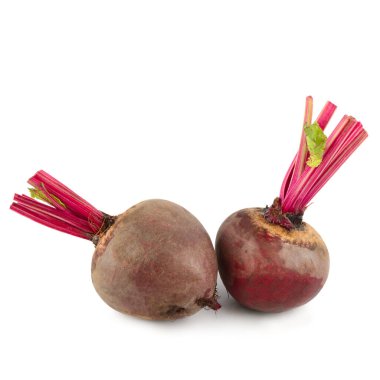 Beyaz arka planda izole pancar kökleri (pancar kökleri). Metin için boş alan.