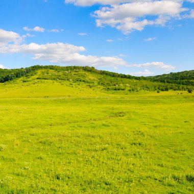 Tepe manzarası, pitoresk çayırlar ve parlak bir gökyüzü..