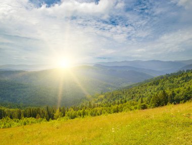 Dağ sıraları, kozalaklı ormanlar ve gün doğumuyla birlikte resimli bir dağ manzarası. Karpat Dağları, Ukrayna.