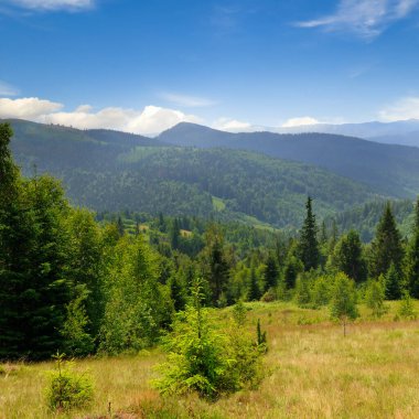 Dağ sıraları, kozalaklı ormanlar ve mavi gökyüzü ile resmedilmiş dağ manzarası. Karpat Dağları, Ukrayna.
