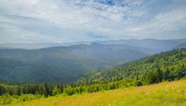 Yağmurdan sonra Misty Carpathian dağ vadisi. Geniş resim.