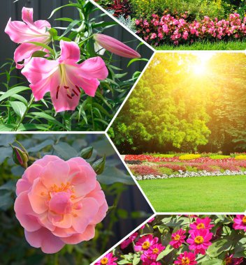 Renkli çiçek ve bahçe kolajı. Mozaik desen.