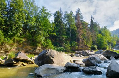 Fırtınalı bir dağ nehri, büyük kayalar ve yüksek bir yamaçta kozalaklı bir orman..